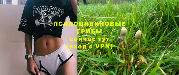 spice Абаза