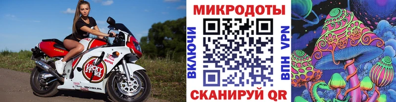 Псилоцибиновые грибы Psilocybine cubensis  Усмань 